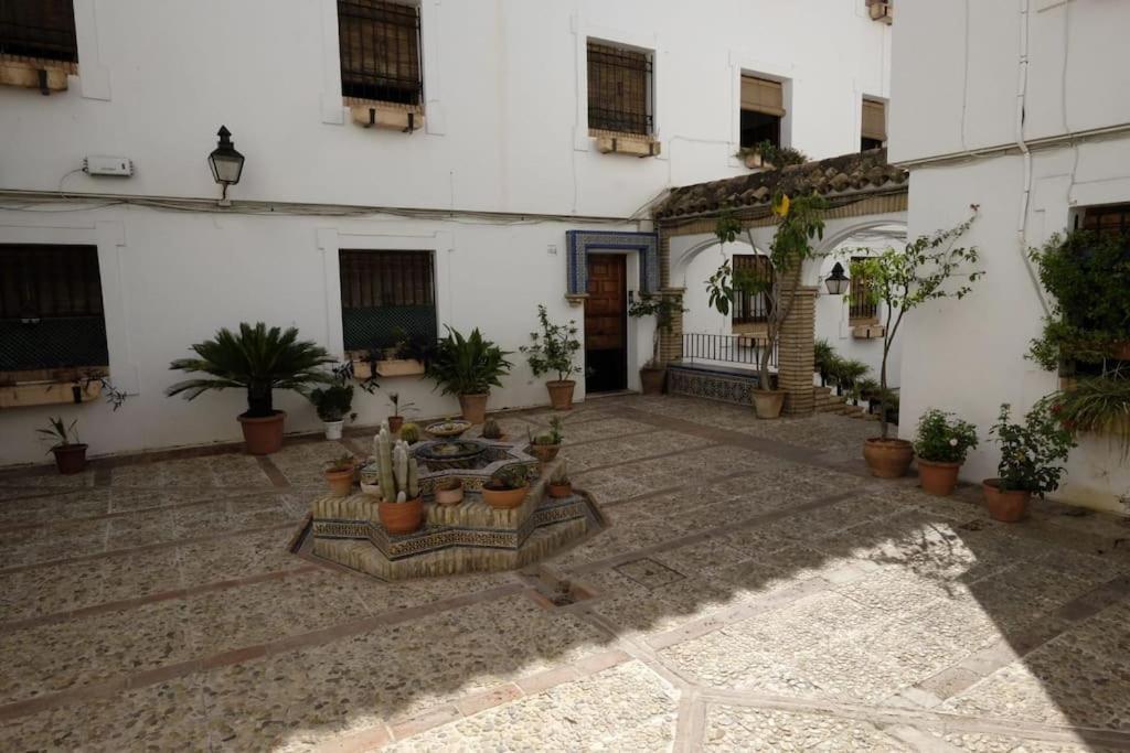 Medina Paradise Cordoba Exterior photo